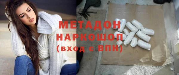 индика Алексин