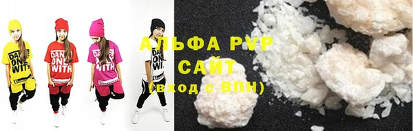 индика Алексин