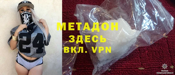 индика Алексин